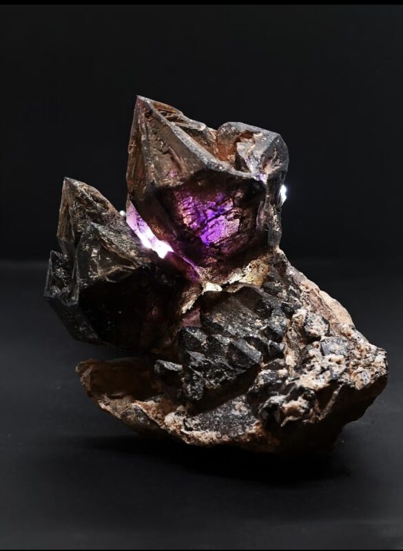 Black Gold Super Seven crystal point, dark and golden needle-like inclusions in clear quartz, natural light, minimalist dark background