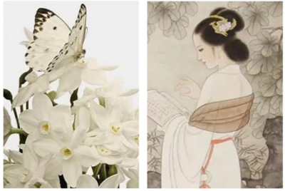 You don't need to be fixed.