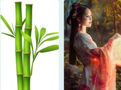 bamboo